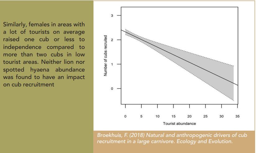 broekhuis research on cheetahs mpcp mara