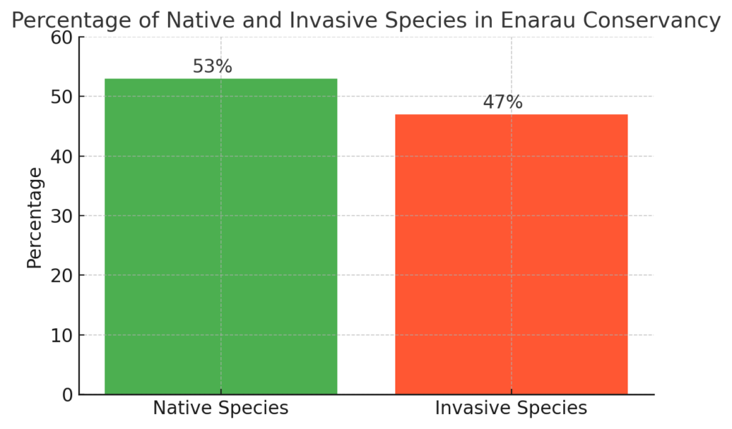 Percentage Of Native And Invasive Species In Enarau Conservancy




